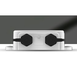 Milesight Dwukana&#322;owy czujnik temperatury TS302-868M